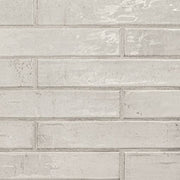 Stella Rhino 2x10 Glossy