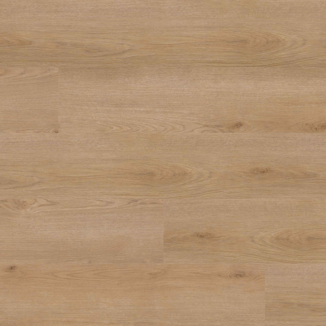 MSI Studio Bozeman Luxury Vinyl Plank Flooring