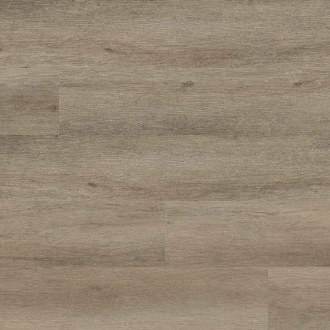 MSI Studio Lark Luxury Vinyl Plank Flooring