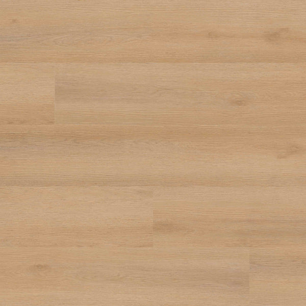 MSI Studio Quillian Luxury Vinyl Plank Flooring