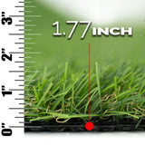 MSI Summer Gold 96 Turf