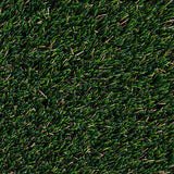MSI Summer Gold 96 Turf