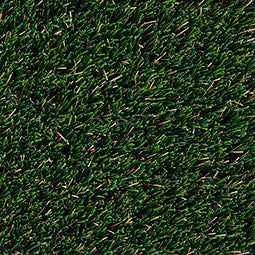 Evergrass Summer Gold 96