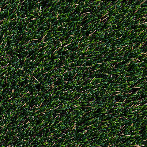 MSI Summer Gold 96 Turf