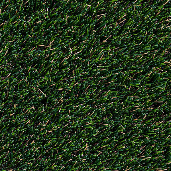 MSI Summer Gold 96 Turf