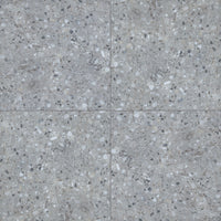 MSI Terrazo Gris Porcelain Paver 20mm exterior porcelain paver freeze-thaw stable