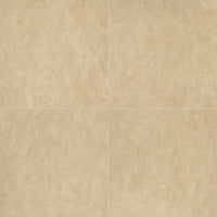 MSI Tierra Ivory Porcelain Paver in ivory tonality 20mm exterior porcelain paver freeze-thaw stable