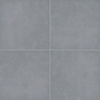 MSI True Bluestone Porcelain Paver 20mm exterior porcelain paver freeze-thaw stable