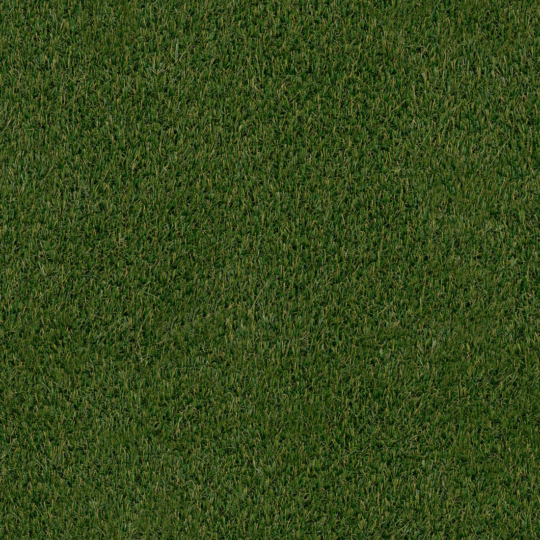 MSI Verdura Gold Turf