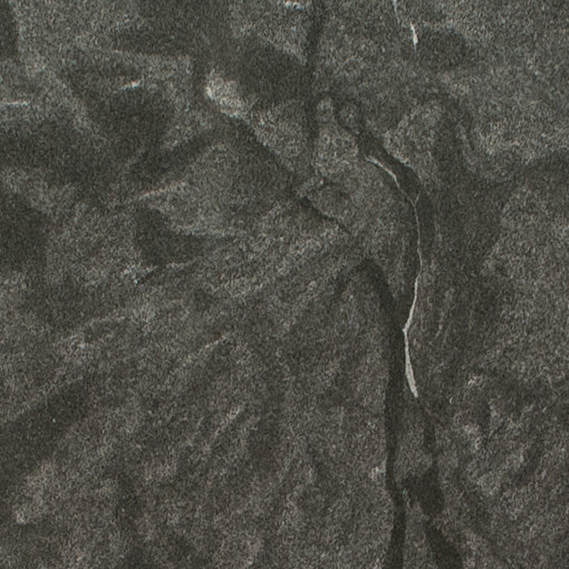 MSI Virginia Mist - Granite Slab
