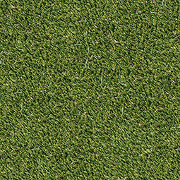Evergrass Viridian Turf 91