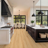 MSI Wayne Parc Reserve Elwood Luxury Vinyl Plank Flooring