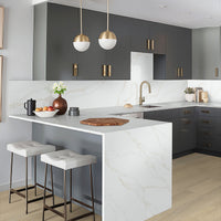 MSI Wayne Parc Waldron Luxury Vinyl Plank Flooring — surface detail in natural tonality