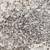 MSI Whisper White - Granite Slab