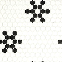 MSI Domino White and Black Mod Petal Pattern Matte — Porcelain Wall Tile in white tonality