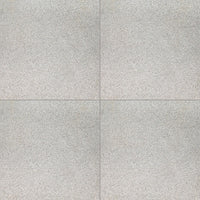 MSI Tuscany Riviera Travertine Paver — surface detail in natural tonality