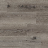 MSI XL Cyrus Ludlow Luxury Vinyl Plank Flooring