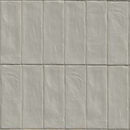 Zest Aloe Tile 2.5x8